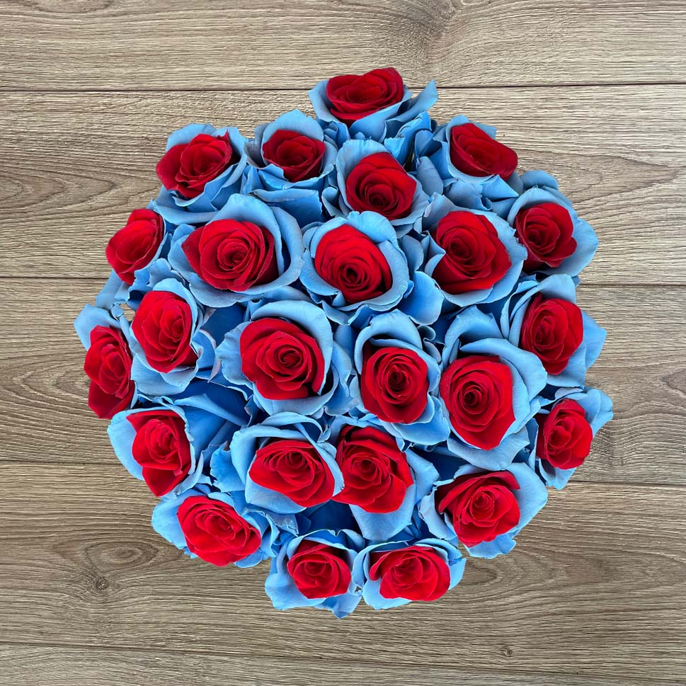Blue Roses